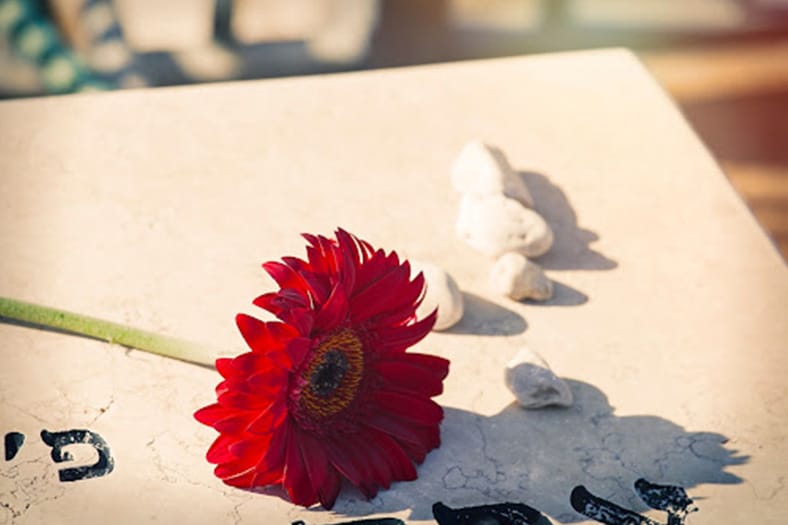 red flower on tombstone at a cemetry