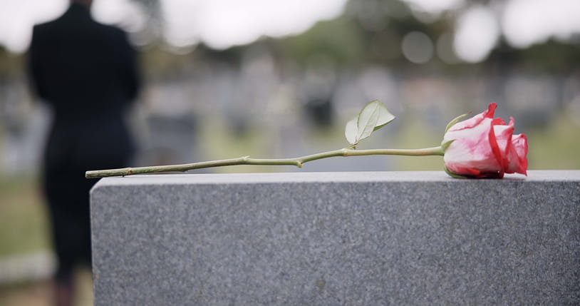 The focus is on a rose that was left on a tombstone. 